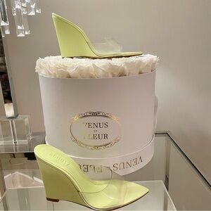 NWT SCHUTZ Women's Lime Wedge Heels